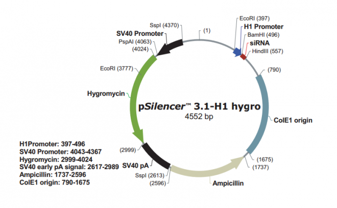 pSilencer 3.1-H1 hygro