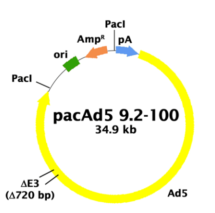 pacAd59.2-100