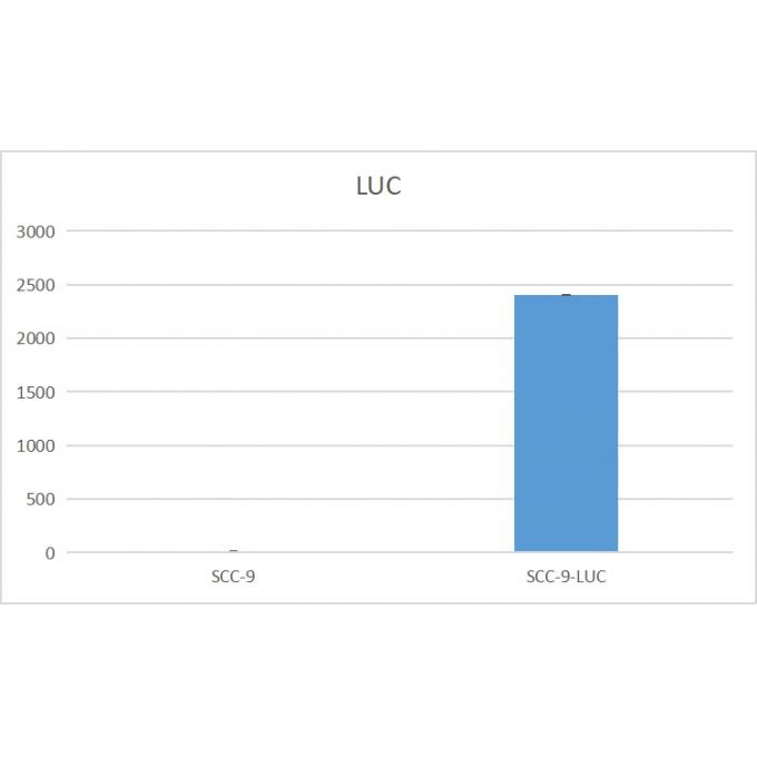 SCC-9-LUC
