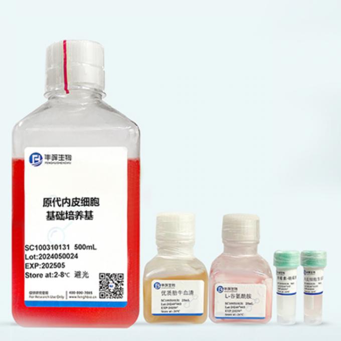 原代内皮细胞完全培养基500ml