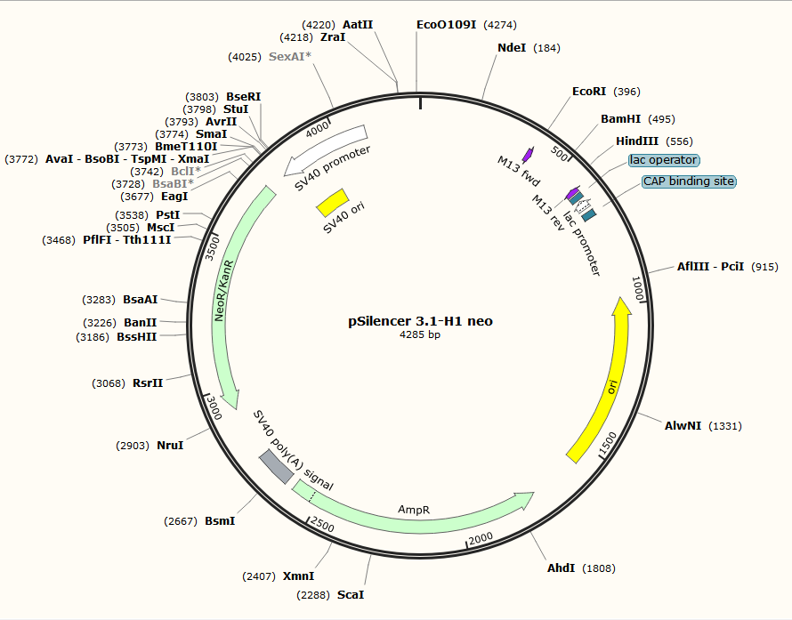 pSilencer 3.1-H1 neo