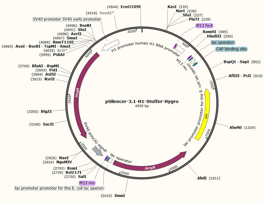pSilencer 3.1-H1 hygro
