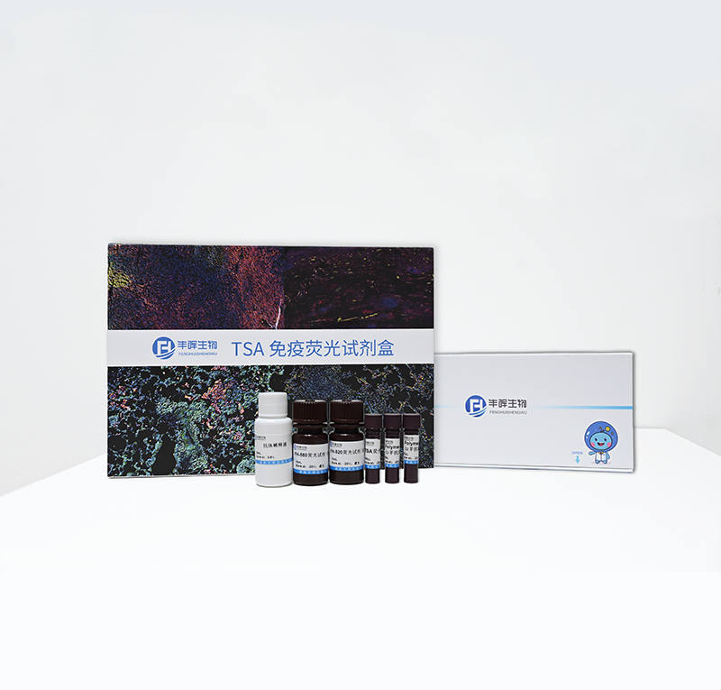 TSA荧光六标试剂盒 规格100T