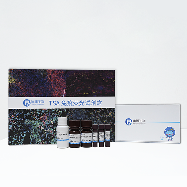 TSA荧光三标四色试剂盒 规格100T