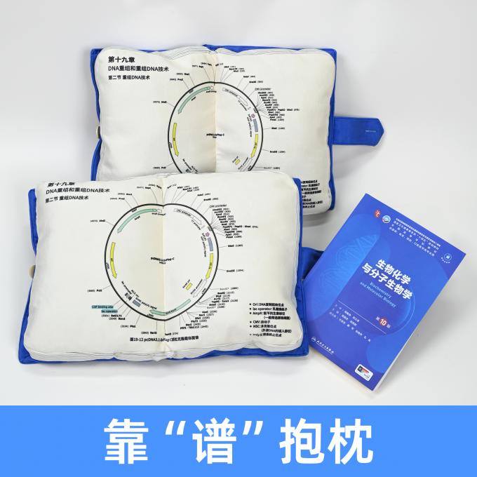 【丰晖生物】靠谱抱枕-预售