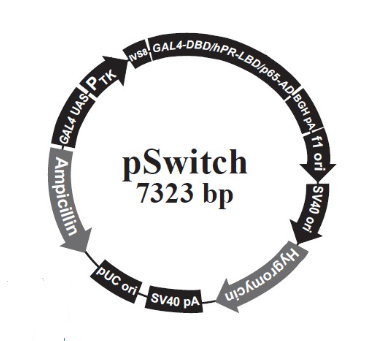 pSwitch