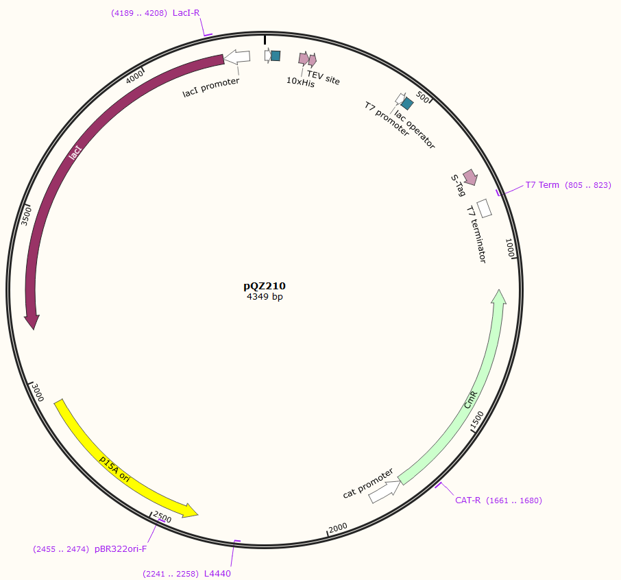 pQZ210