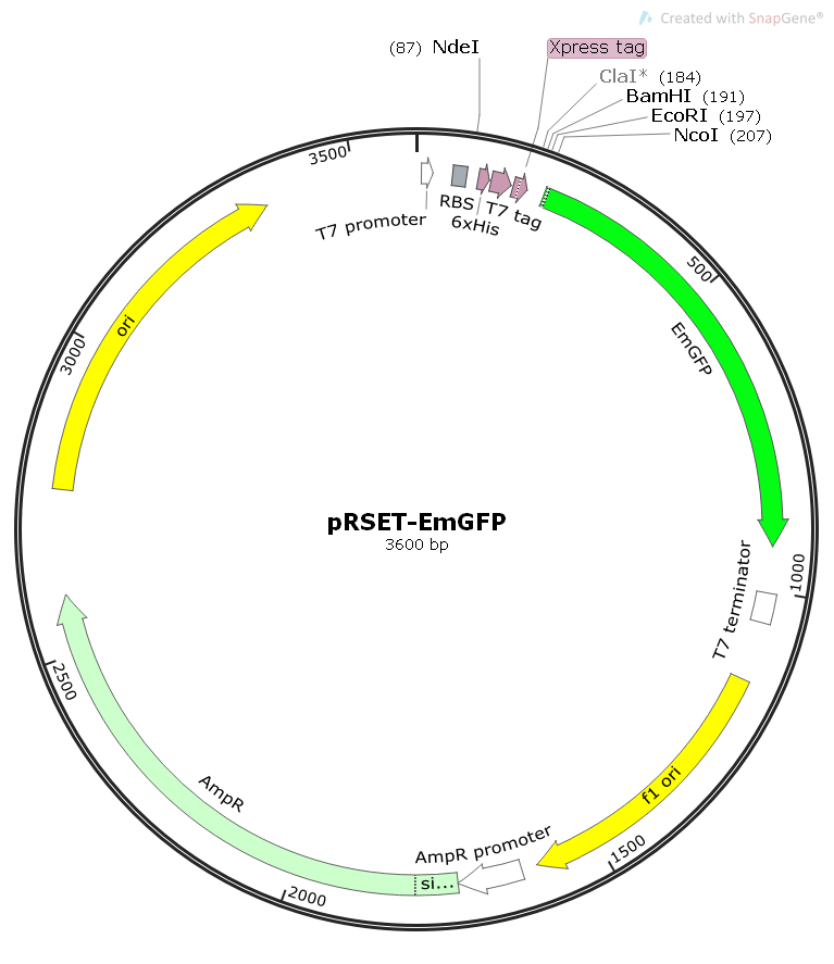 pRSET-EmGFP大肠绿色荧光表达质粒