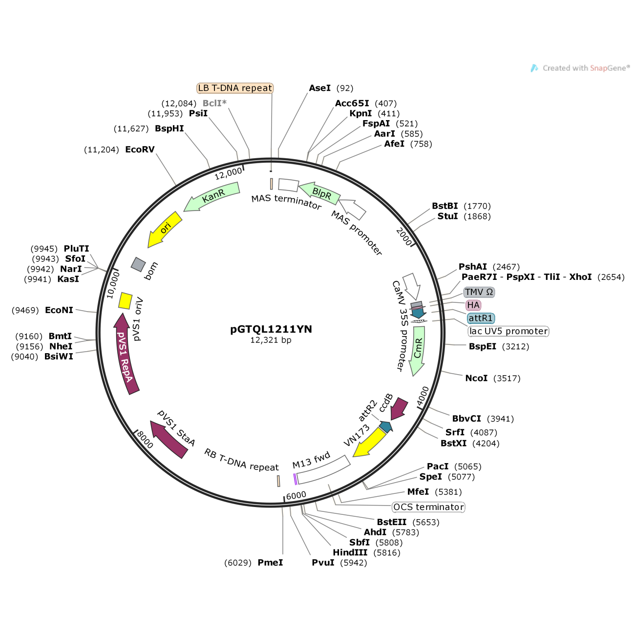 pGTQL1211YN/pEarleyGate201-YN